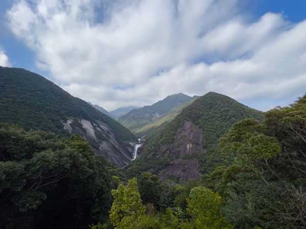 日本・屋久島「初めての屋久島⛰」の写真：千尋の滝 展望台

雲水峡のトレッキング...