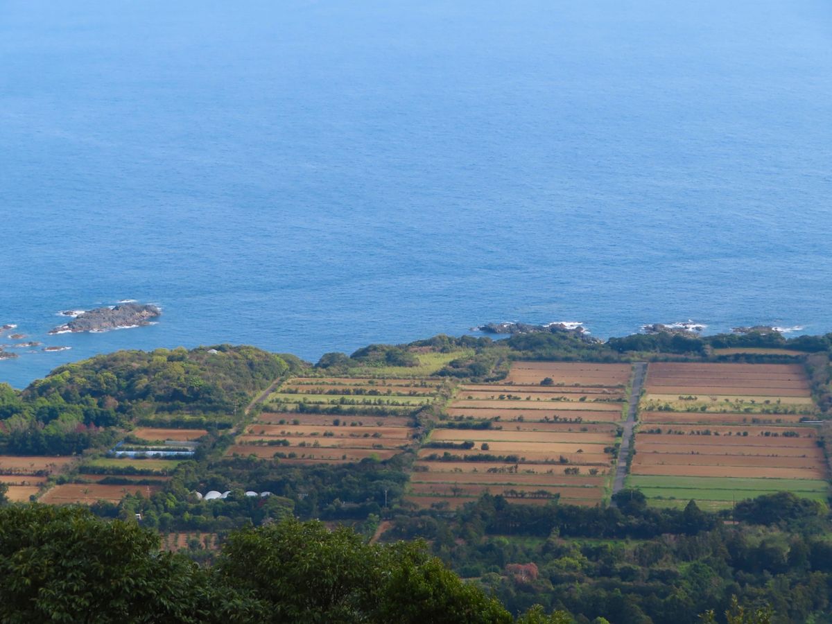 千尋の滝　展望台からの眺め

なんか景色が南アフリカの山からの景色に似てて...