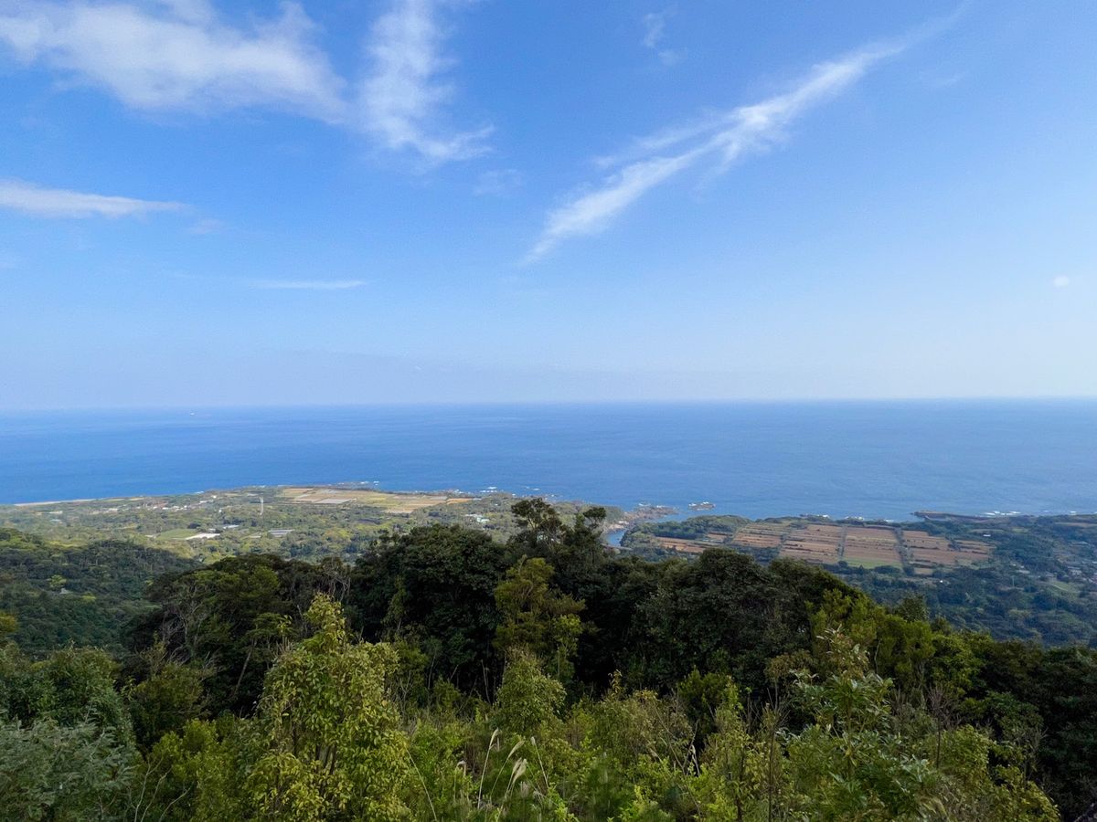 千尋の滝 展望台

雲水峡のトレッキングが終わって
Tさんは一足先に帰った...