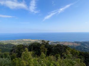 千尋の滝 展望台

雲水峡のトレッキングが終わって
Tさんは一足先に帰った...
