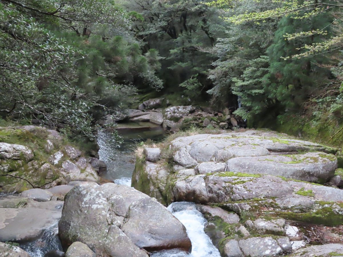 この日は白谷雲水峡のトレッキング

薄々予感してはいたけど…
前日の縄文杉...
