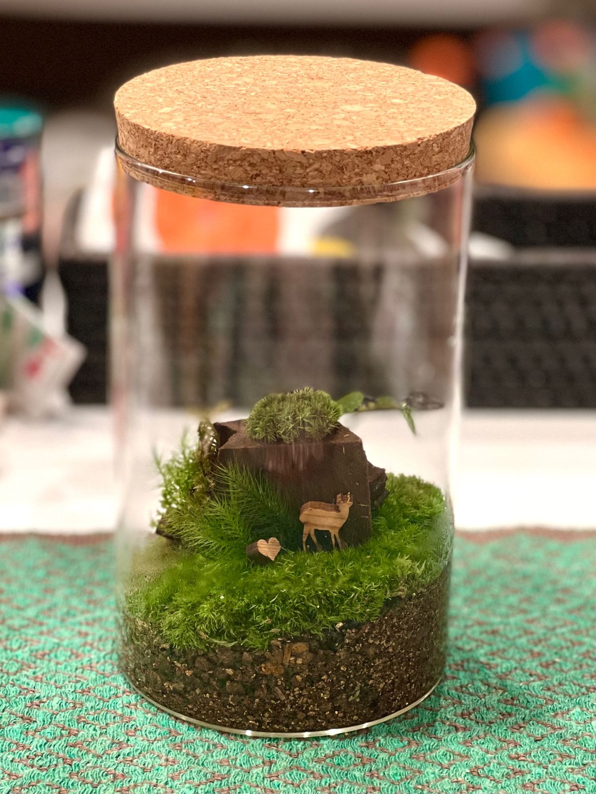 屋久島で買った苔テラリウム❤️
屋久杉の鹿ちゃんとか添えてアレンジ🦌

め...