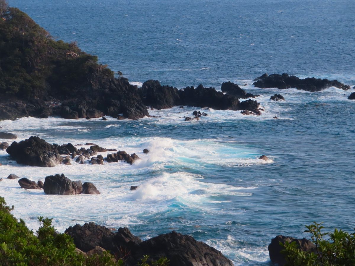 屋久島の西側
西部林道の手前あたり