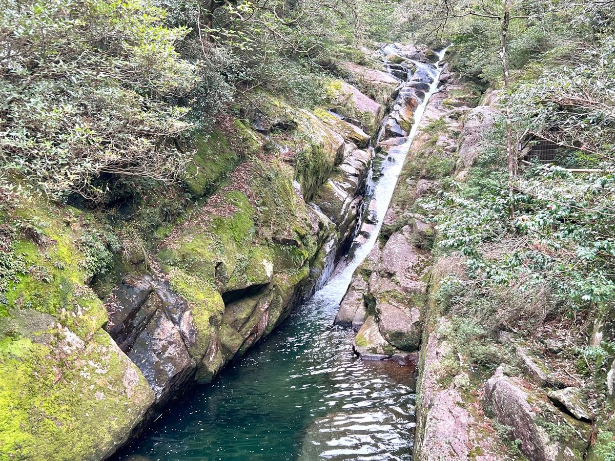 岩が直線的に削られてるところをみると
屋久島ではいかに水が勢いよく流れてい...