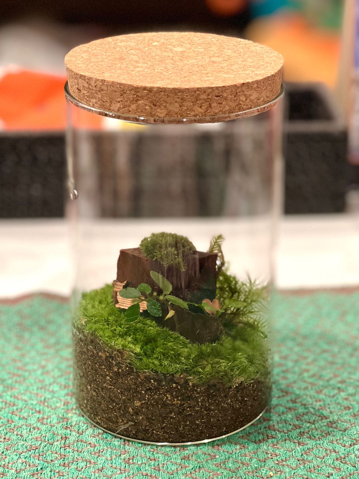 屋久島で買った苔テラリウム❤️
屋久杉の鹿ちゃんとか添えてアレンジ🦌

め...