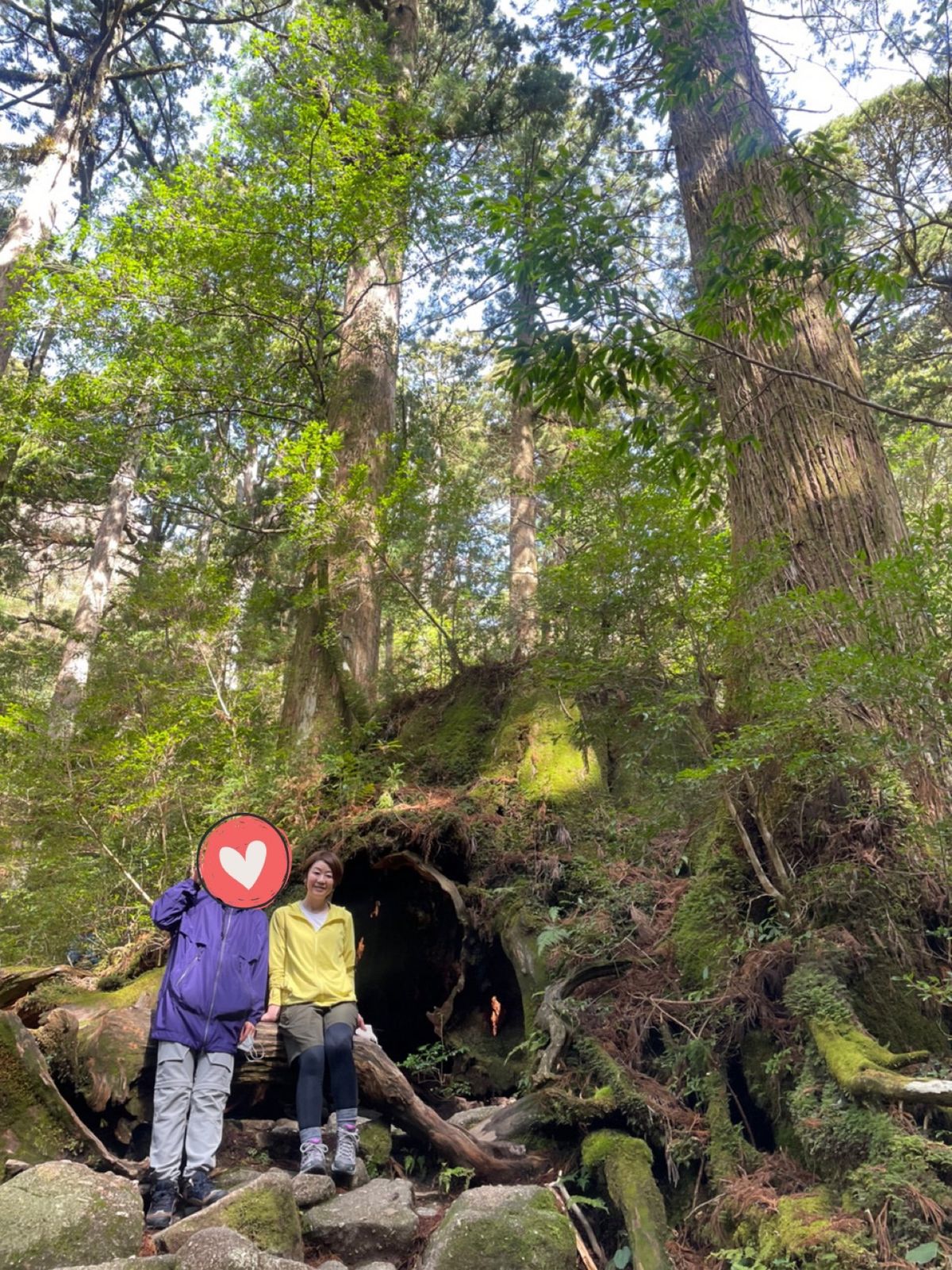 ウィルソン株の往路で撮ってもらった写真

この時点でだいぶ疲れ気味やったな〜😂