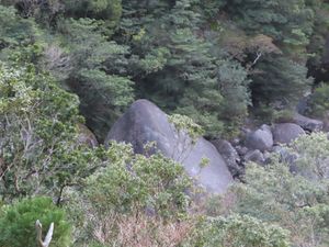 私達のガイドさんは
往路で説明をたくさんして
復路は歩くのに集中するタイプ...