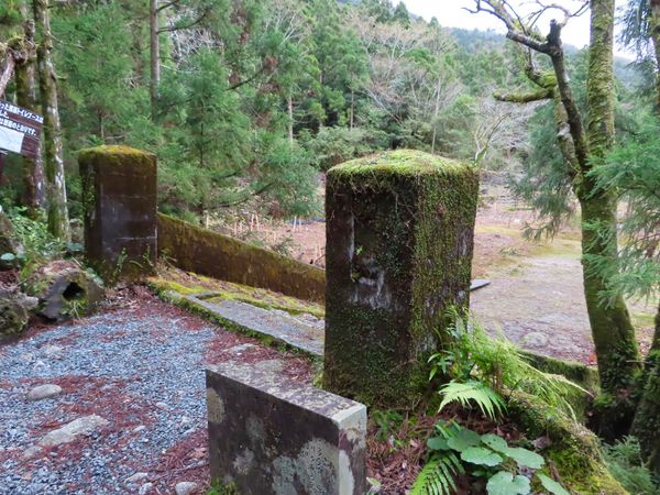 日本・屋久島「初めての屋久島⛰」の写真：小杉谷小中学校跡

1時間くらい歩いたと...