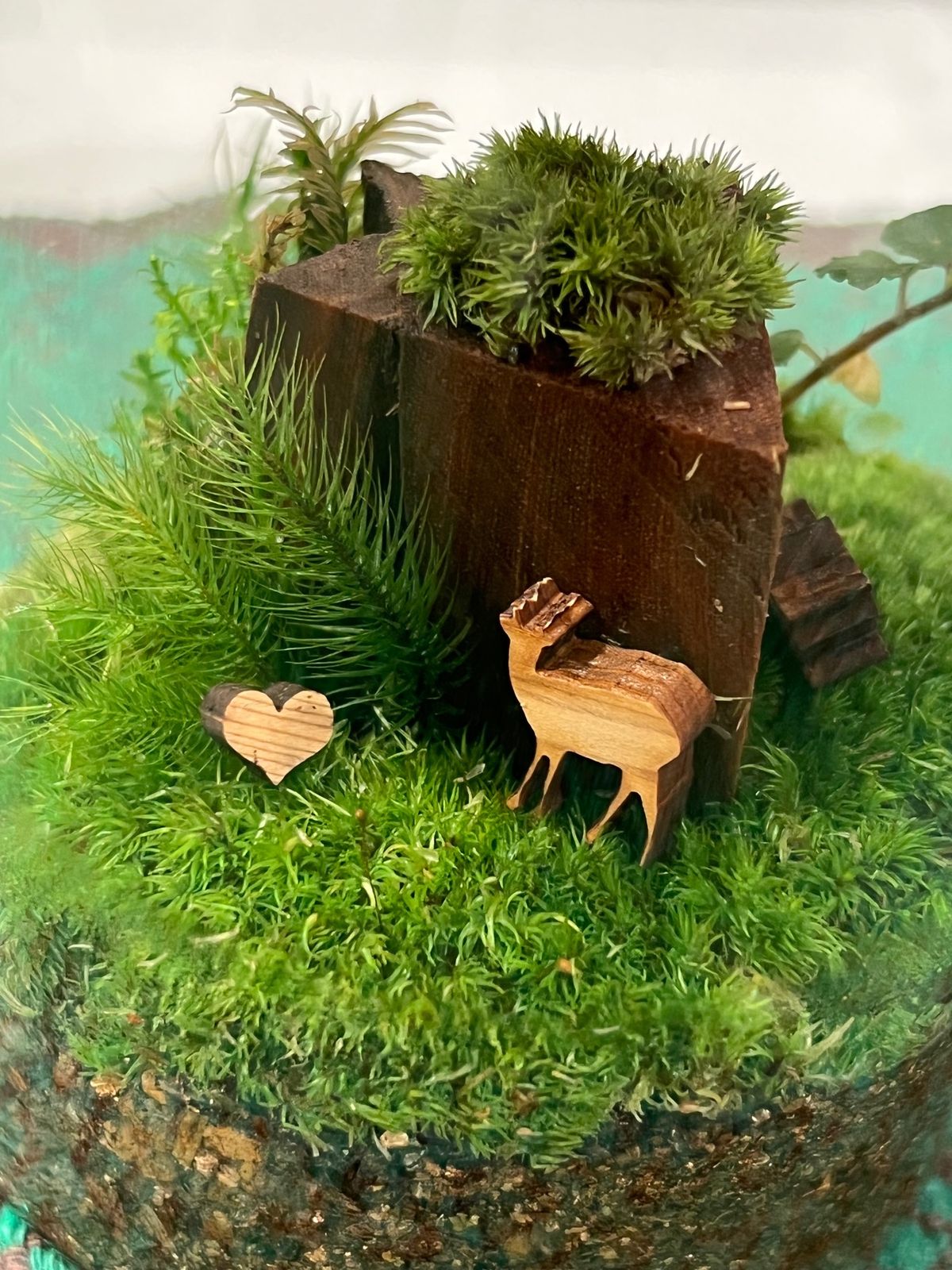 屋久島で買った苔テラリウム❤️
屋久杉の鹿ちゃんとか添えてアレンジ🦌

め...