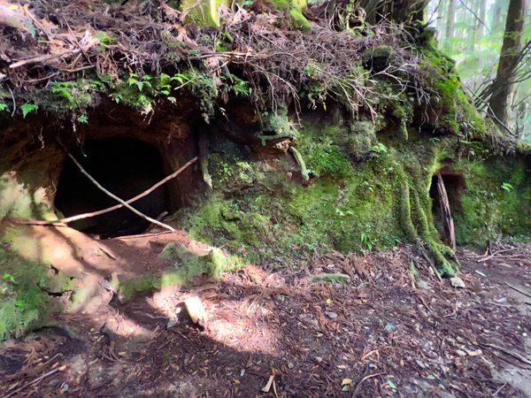 日本・屋久島「初めての屋久島⛰」の写真：防空壕跡
子供とかが入って崩落とかで怪我...