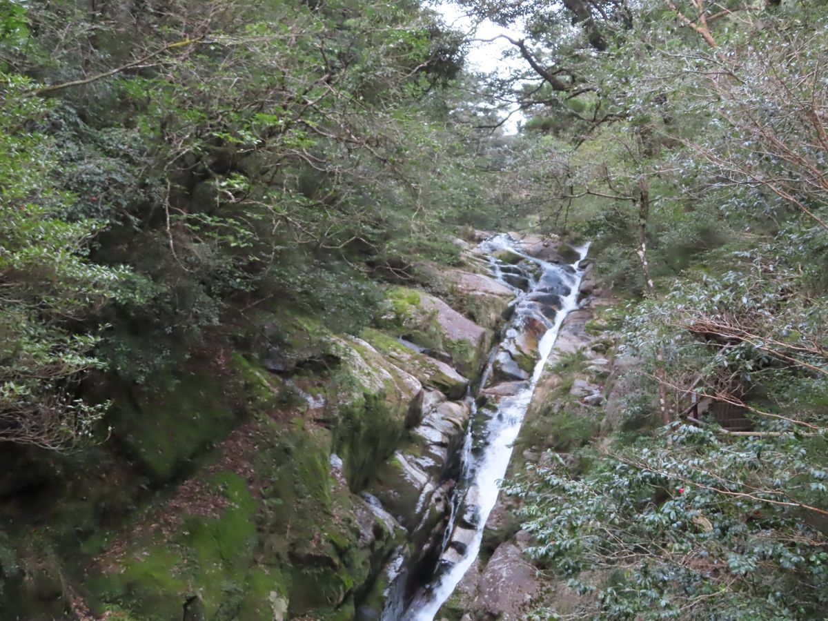 この日は白谷雲水峡のトレッキング

薄々予感してはいたけど…
前日の縄文杉...