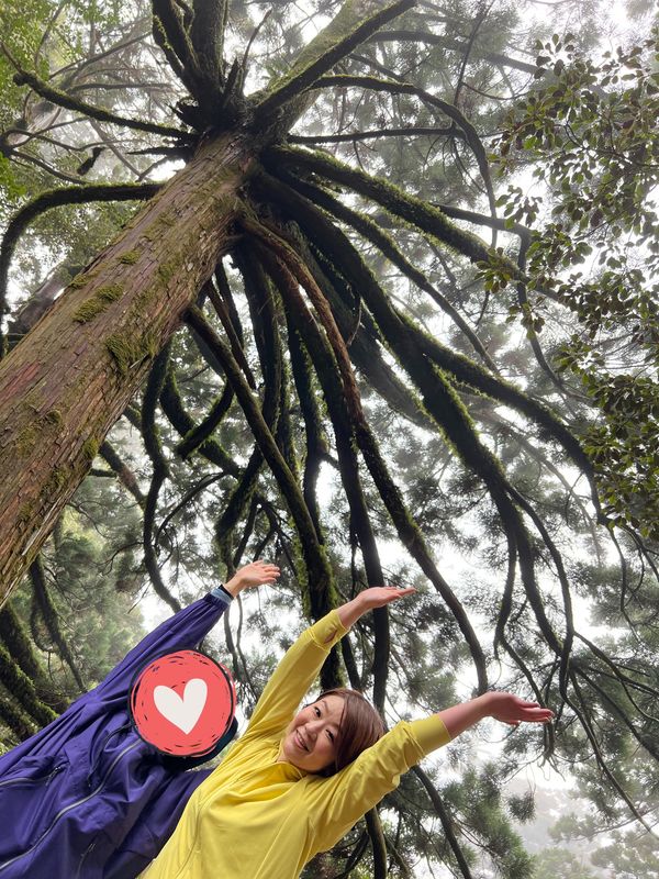 日本・屋久島「初めての屋久島⛰」の写真：縄文杉の正面に生えてる
蜘蛛みたいな面白...