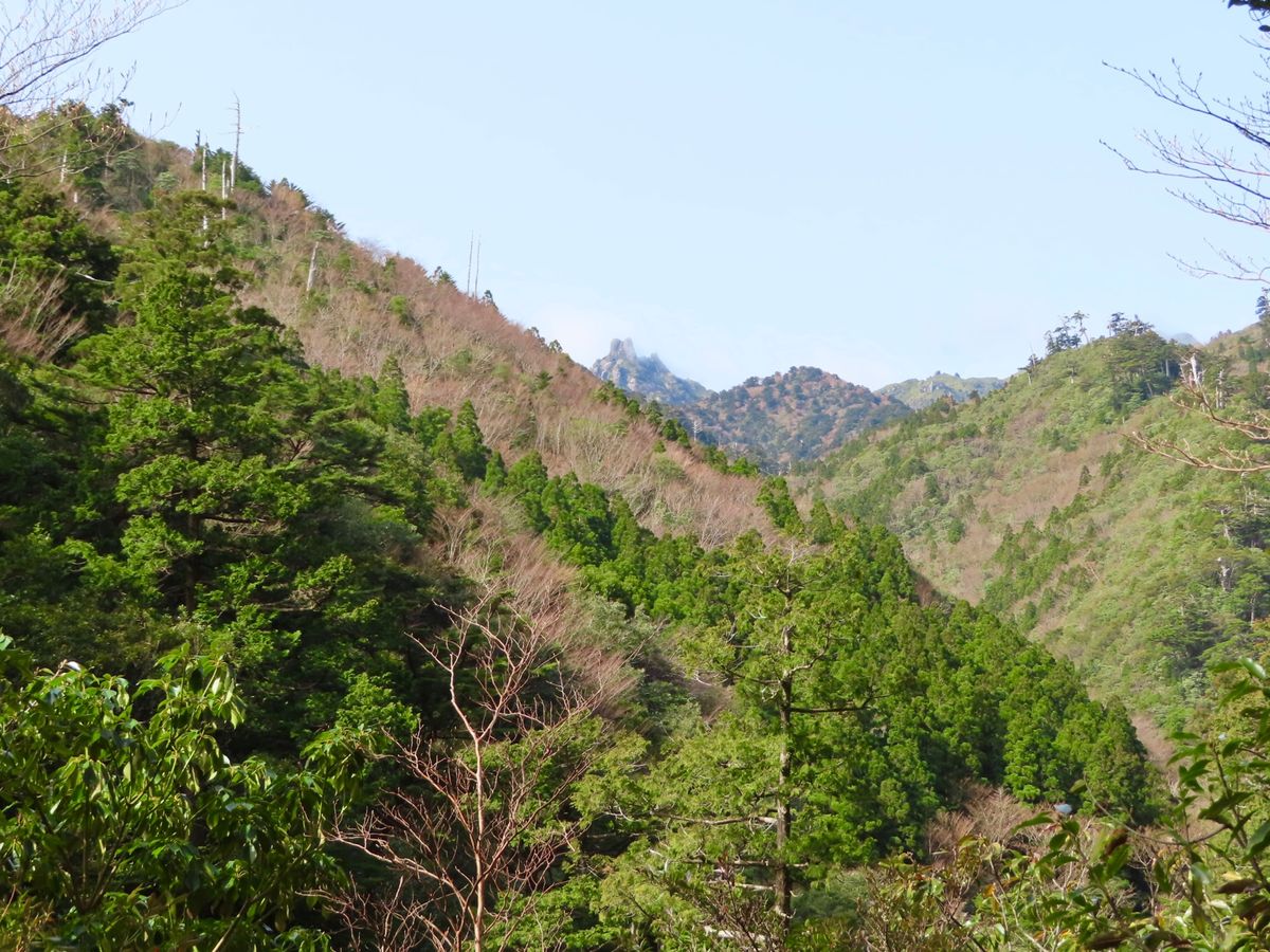 奥に見える山は翁岳

2枚目の山頂に岩が見えるのも翁岳かなぁ？
（あれが有...