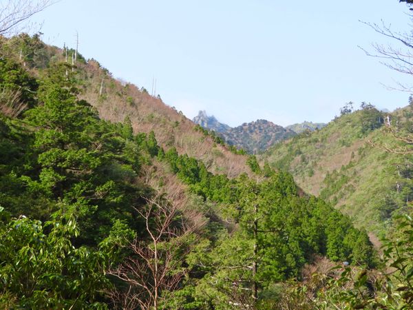 日本・屋久島「初めての屋久島⛰」の写真：奥に見える山は翁岳

2枚目の山頂に岩が...