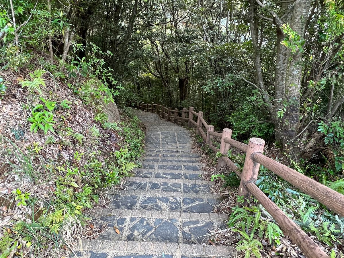 千尋の滝 展望台

雲水峡のトレッキングが終わって
Tさんは一足先に帰った...
