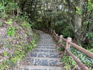 千尋の滝 展望台

雲水峡のトレッキングが終わって
Tさんは一足先に帰った...