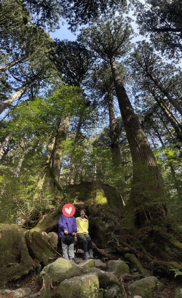 日本・屋久島「初めての屋久島⛰」の写真：ウィルソン株の往路で撮ってもらった写真
...