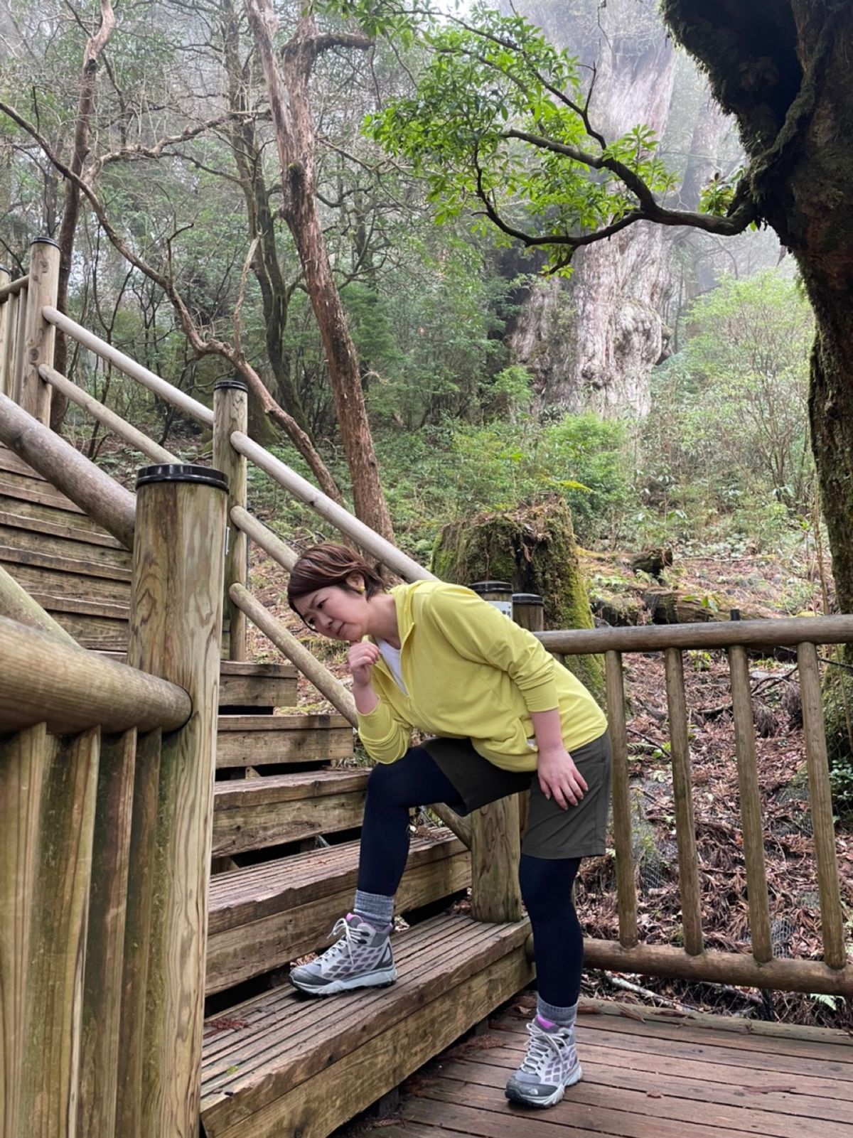 やっとの思いで縄文杉に到着

大きいんだろうけど
今は柵があって近くに寄れ...