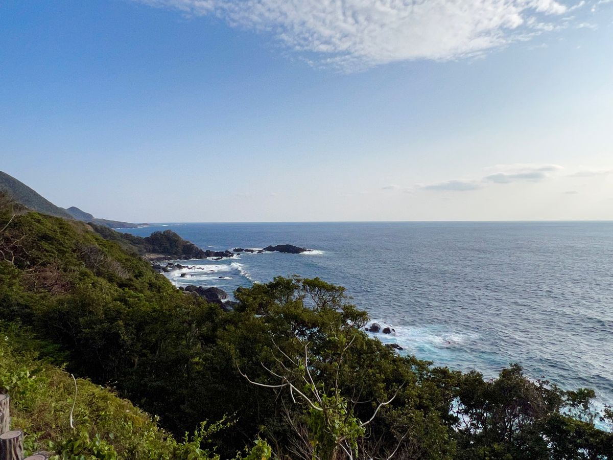 屋久島の西側
西部林道の手前あたり