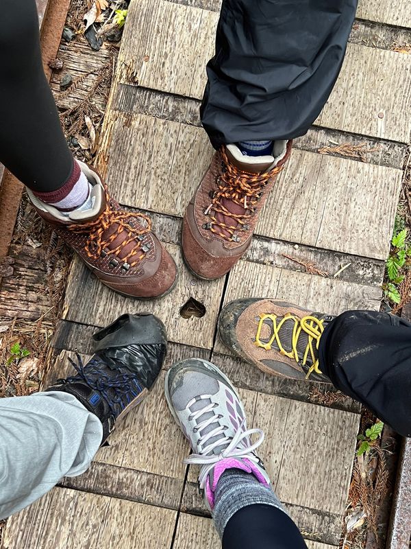 日本・屋久島「初めての屋久島⛰」の写真：帰り道でも

大学生が転倒したり（怪我無...