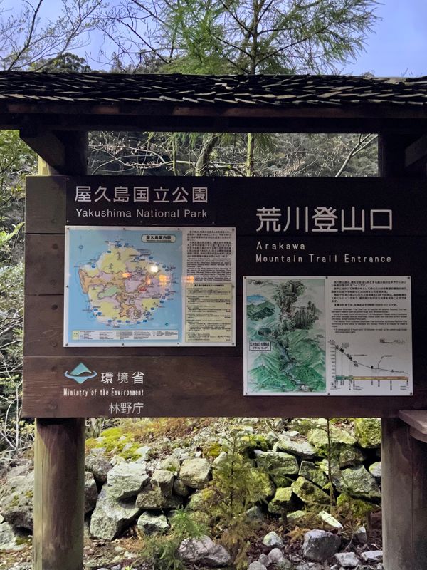 日本・屋久島「初めての屋久島⛰」の写真：まずは縄文杉のトレッキング

一緒に行っ...