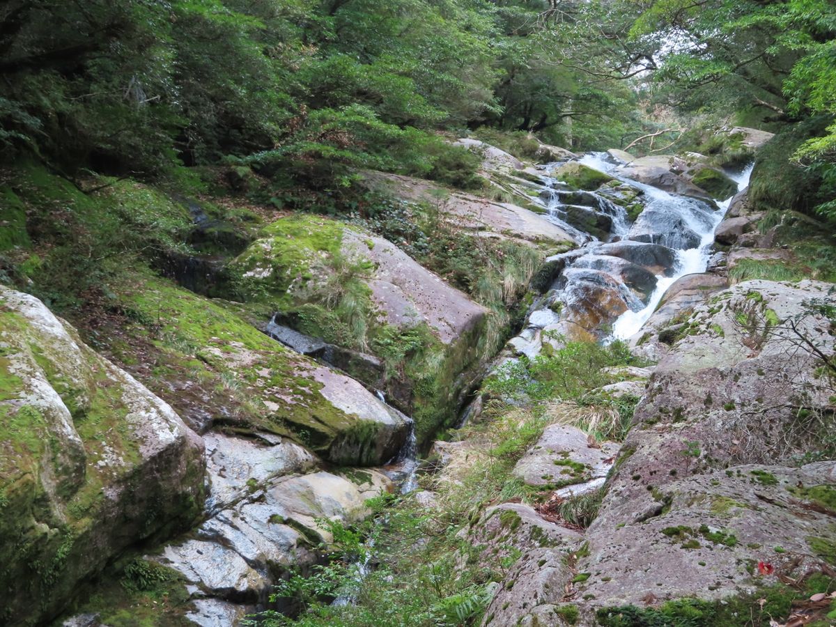 岩が直線的に削られてるところをみると
屋久島ではいかに水が勢いよく流れてい...