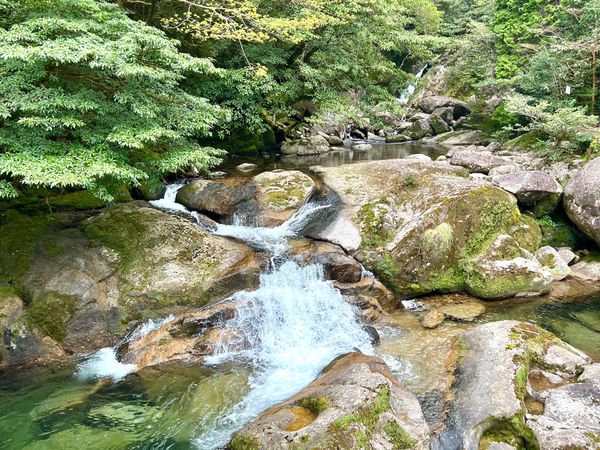 日本・屋久島「初めての屋久島⛰」の写真：苔むす森のトレッキング終了！
この瞬間は...