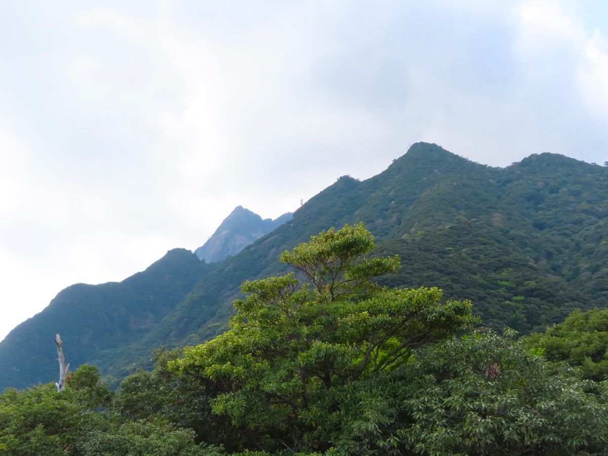 千尋の滝　展望台からの眺め

なんか景色が南アフリカの山からの景色に似てて...