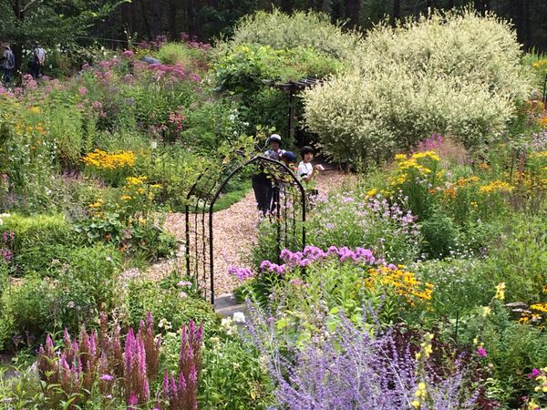 日本・北海道「夏の北海道　夏の道央旅」の写真