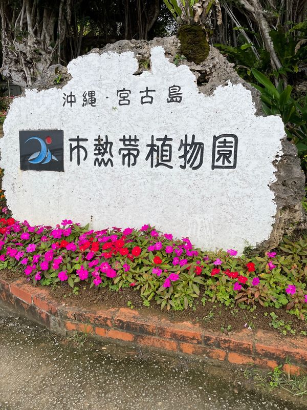 日本・宮古島「宮古島＆かりゆし水族館」の写真：那覇空港に移動する前に
植物園や博物館に...