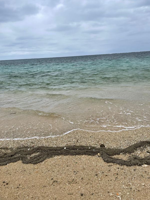 日本・宮古島「宮古島＆かりゆし水族館」の写真：おそらく台湾から流れついたペットボトルが