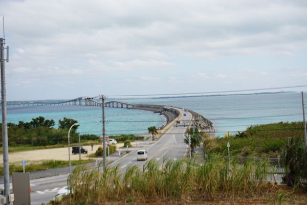 日本・宮古島「宮古島＆かりゆし水族館」の写真：もっといい写真が撮りたかった