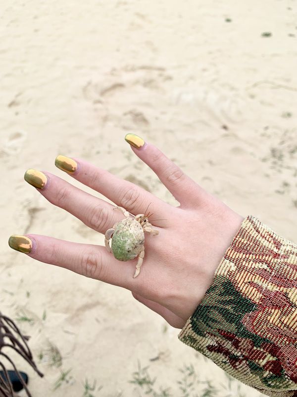 日本・宮古島「宮古島＆かりゆし水族館」の写真：妹の手に、指輪みたいなヤドカリ