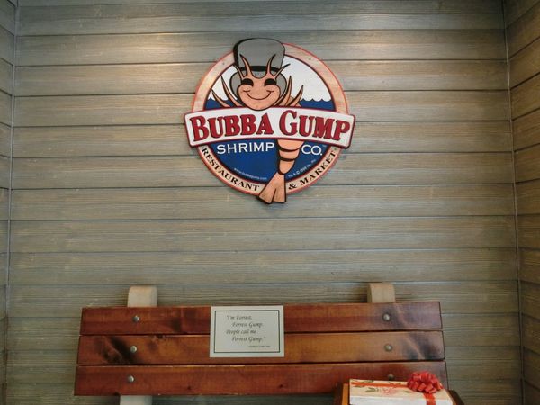 日本・東京都「東京観光/東京ドーム」の写真