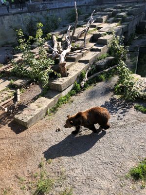 三角屋根、木組みの家もすてきだ

・ローゼンガルテン（バラ公園）
・アーレ...