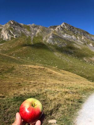 フィルストへロープーウェイで行き、ハイキング
もらったりんごを山の上で食べ...