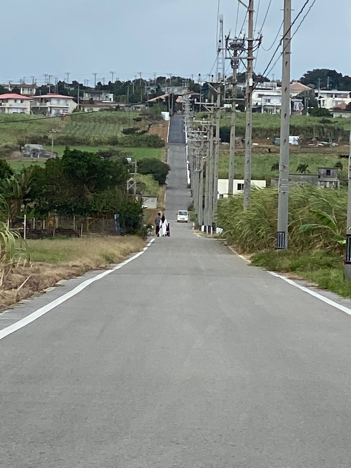 シュガーロード