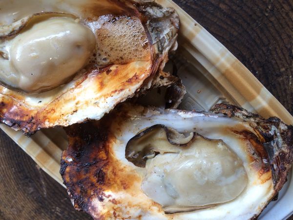 日本・宮島「広島/宮島/MAZDAスタジアム」の写真