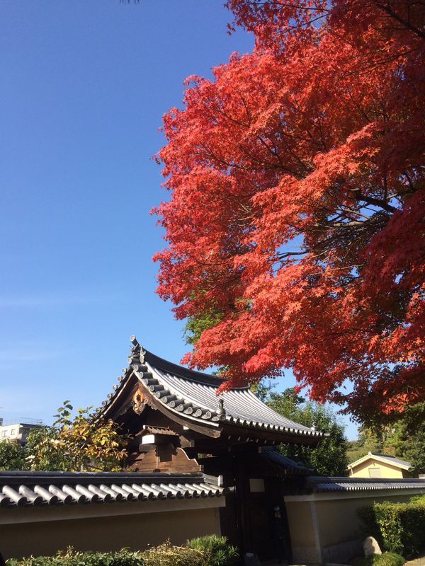 日本・京都「LINEのグループ名は『Team Kyoto』！」の写真