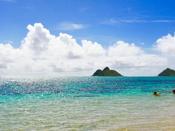 アメリカ(米国)・ホノルル「ハワイ・ホノルル」の写真：ラニカイビーチ
泳がなかったけど、わざわ...