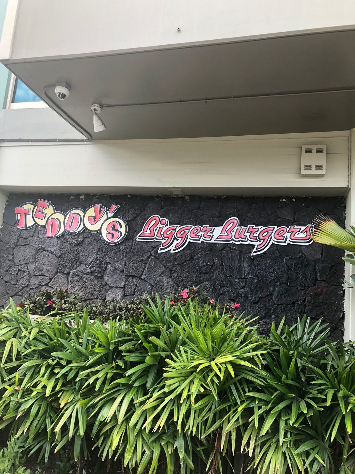 テディーズビガーバーガー
ザ　アメリカ！なサイズのハンバーガーをペロッと完...