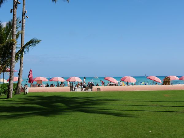 アメリカ(米国)・ホノルル「ハワイ・ホノルル」の写真：ワイキキをプラプラ
panda expr...