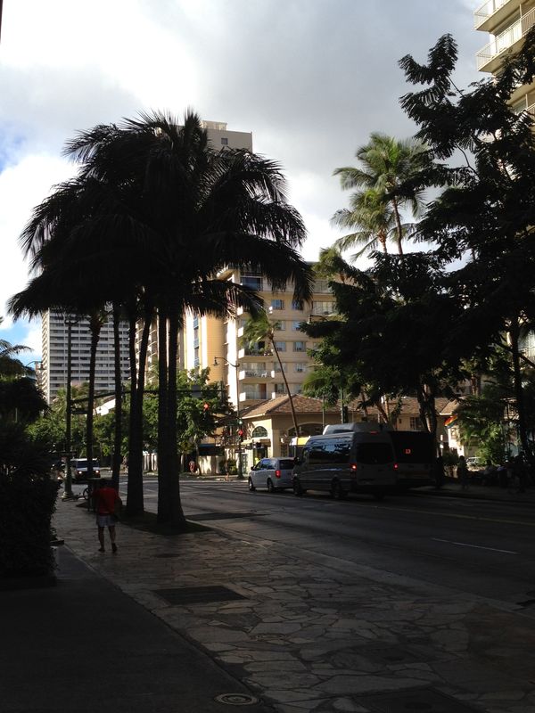 アメリカ(米国)・ハワイ「友人のハワイウェディング🌴」の写真：ホテル周辺