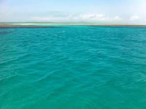 竹富島が癒される