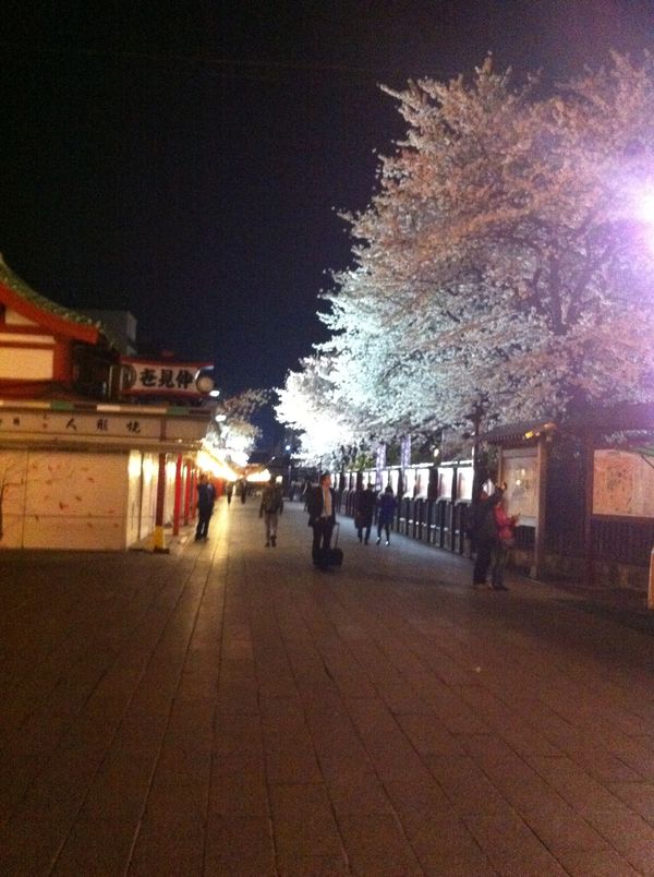日本・東京都「浅草寺」の写真