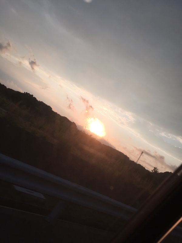 日本・和歌山県「白浜でダイビング」の写真