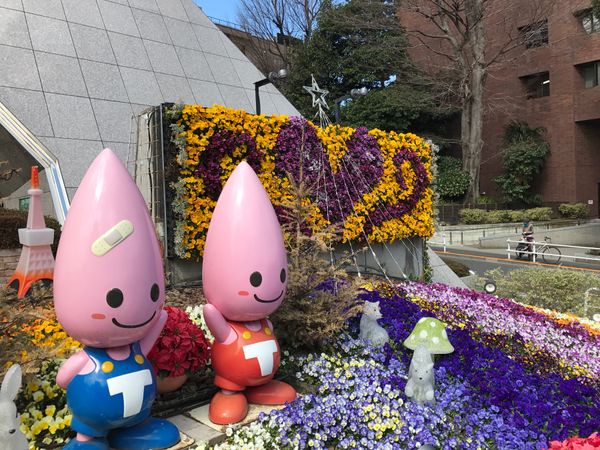 日本・東京「World Baseball Classic 2017 in Tokyo」の写真
