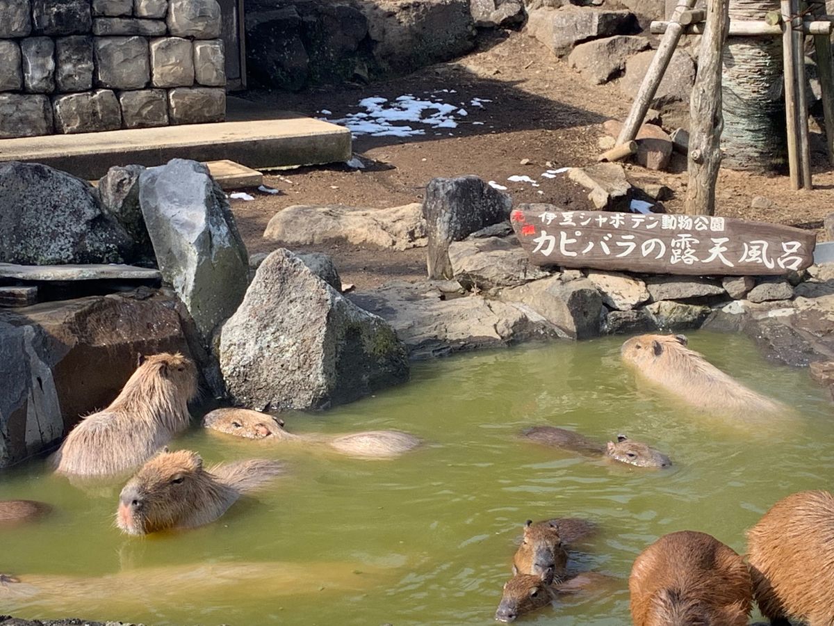 秘宝館とても良かった( ≖ᴗ≖​)