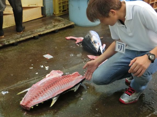 日本・和歌山県「那智勝浦産生まぐろ/ホエールウォッチング」の写真