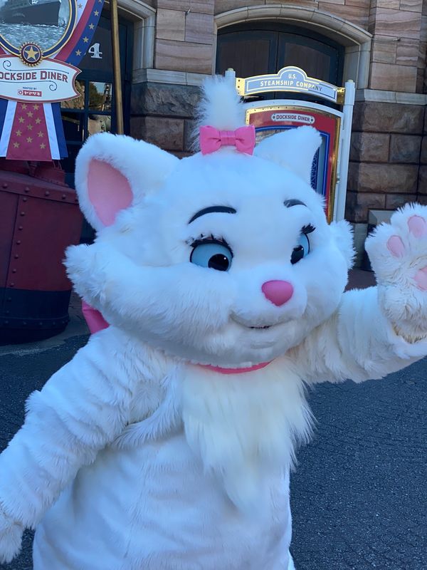 日本・千葉県「大好きディズニー」の写真